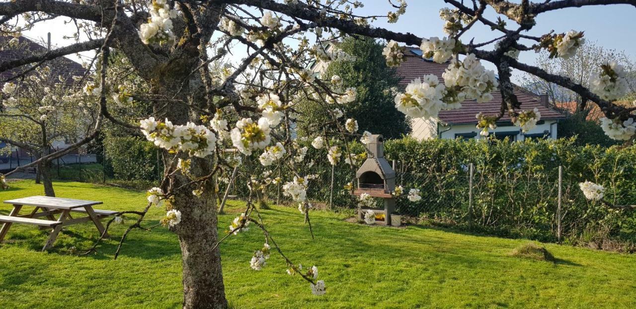 Maison De Vacances Freconrupt La Broque Ngoại thất bức ảnh